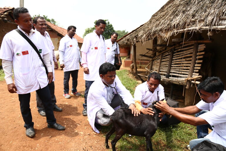 The Role Of Mobile Veterinary Units In Extending Hospital Care Mobile Veterinary
